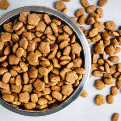 Sucha karma weterynaryjna dla psa w metalowej misce na tle rozsypanych granulek.