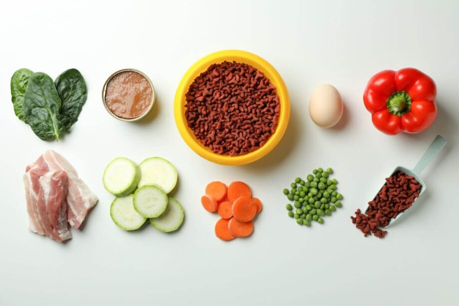Miska i składniki na karmę dla psa z problemami żołądkowo jelitowymi.
