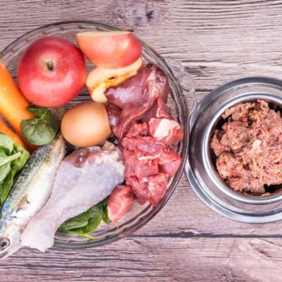 Miski z surowymi składnikami i gotową mieszanką jako karma dla psa z chorymi nerkami.