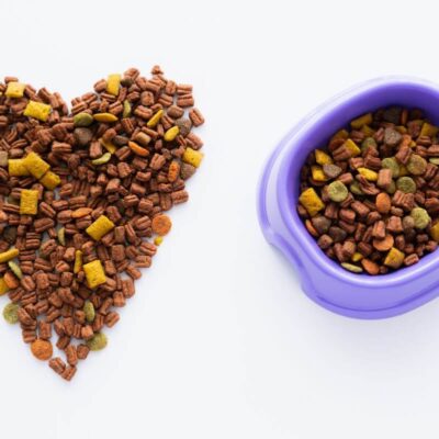 Sucha karma weterynaryjna dla psa ułożona w kształt serca obok fioletowej miski.