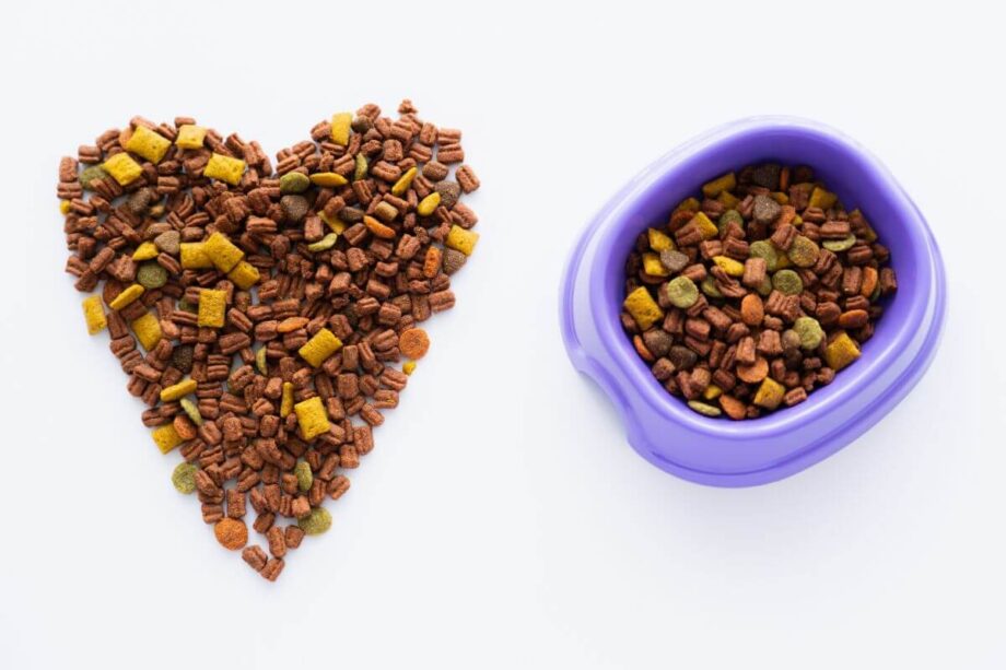 Sucha karma weterynaryjna dla psa ułożona w kształt serca obok fioletowej miski.