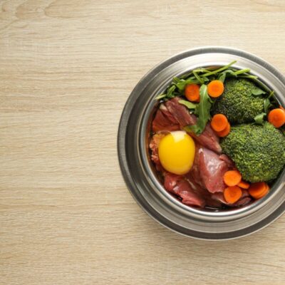 Miseczka pełna zdrowego jedzenia to idealna karma dla psa z chorymi nerkami.