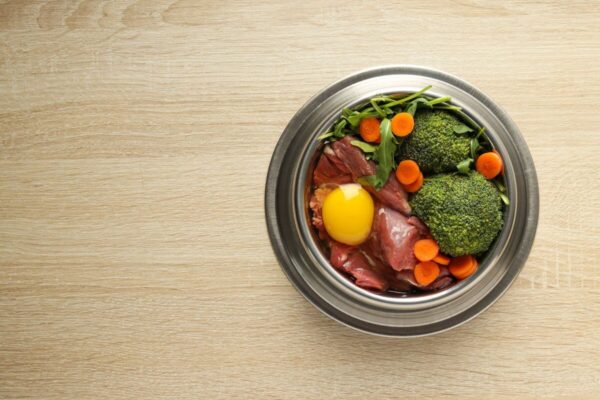 Miseczka pełna zdrowego jedzenia to idealna karma dla psa z chorymi nerkami.