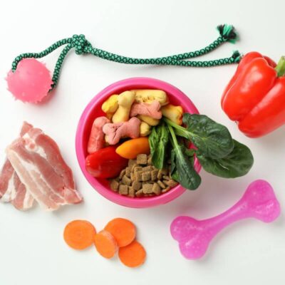 Różnorodne składniki do przygotowania diety, w tym karma dla psa z chorymi nerkami, leżą wokół miski.