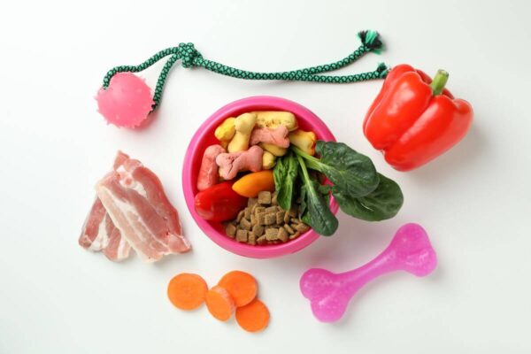 Różnorodne składniki do przygotowania diety, w tym karma dla psa z chorymi nerkami, leżą wokół miski.