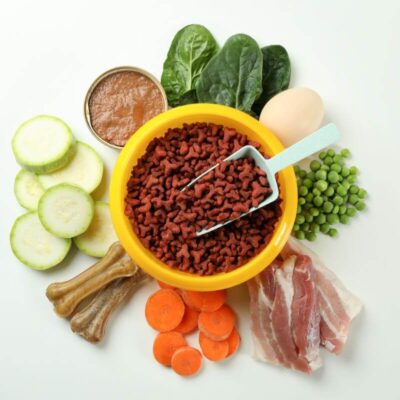 Miska pełna różnorodnych składników do przygotowania karma weterynaryjna dla psa.