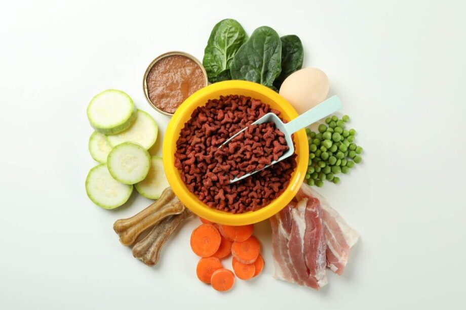 Miska pełna różnorodnych składników do przygotowania karma weterynaryjna dla psa.