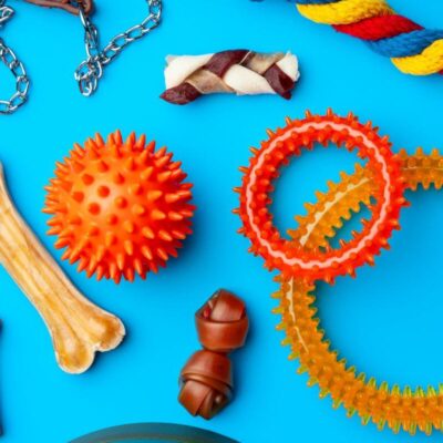 Na niebieskim tle znajdują się różnorodne zabawki dla psa, w tym kolorowe piłki, kości i sznury.