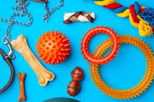 Na niebieskim tle znajdują się różnorodne zabawki dla psa, w tym kolorowe piłki, kości i sznury.