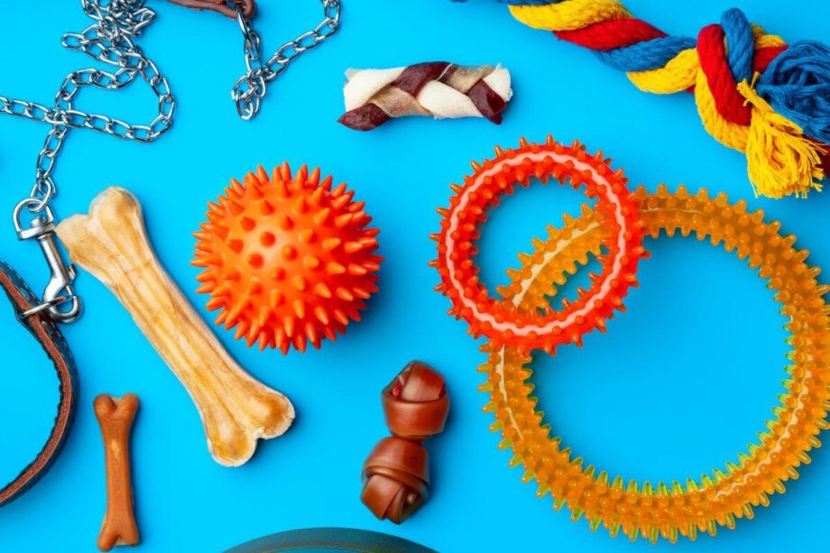 Na niebieskim tle znajdują się różnorodne zabawki dla psa, w tym kolorowe piłki, kości i sznury.