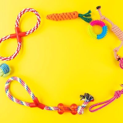 Kolorowe zabawki dla psa leżą na żółtym tle.