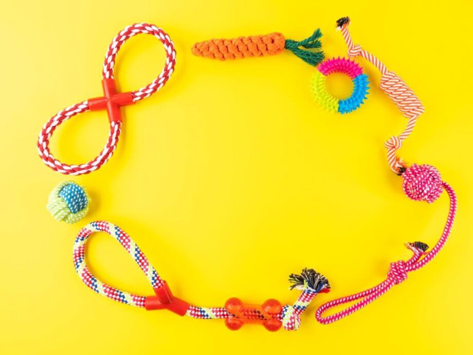 Kolorowe zabawki dla psa leżą na żółtym tle.