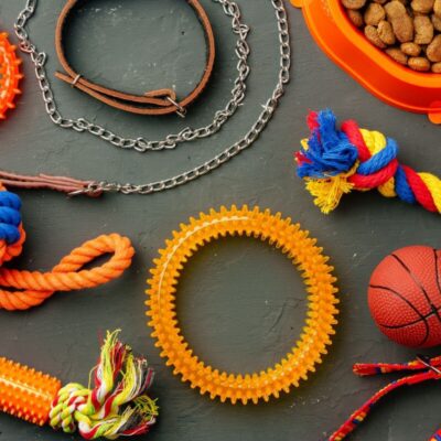 Kolorowe zabawki dla psa urozmaicone psimi akcesoriami na ciemnym tle.