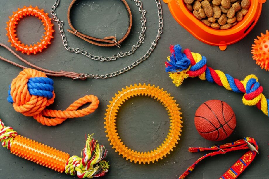 Kolorowe zabawki dla psa urozmaicone psimi akcesoriami na ciemnym tle.