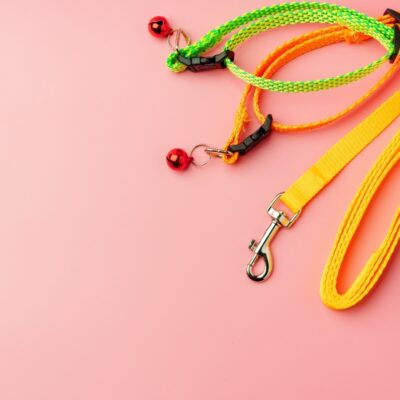 Kolorowe smycze dla psa na różowym tle.