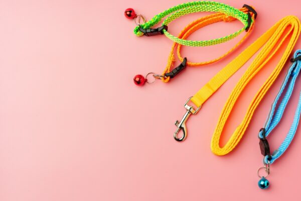 Kolorowe smycze dla psa na różowym tle.