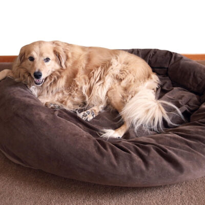 Pies leży wygodnie na dużym, brązowym legowisku dla psa.