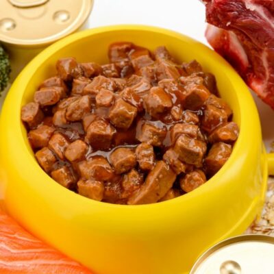 Żółta miska wypełniona mokrą karmą dla psa otoczona mięsem, łososiem, brokułem i marchewką.