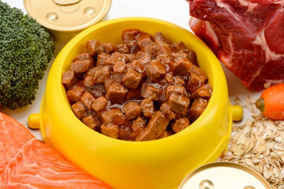 Żółta miska wypełniona mokrą karmą dla psa otoczona mięsem, łososiem, brokułem i marchewką.