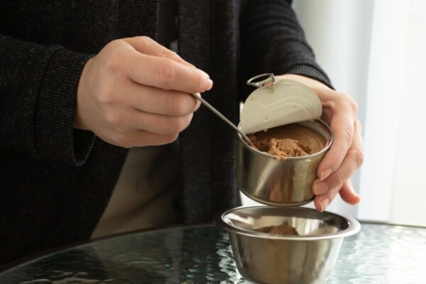 Ręka nakłada mokrą karmę dla psa do miski.