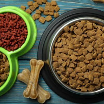 Sucha karma dla psa z otyłością i cukrzycą w misce na drewnianym stole.