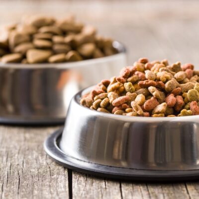 Sucha karma w misce, idealna jako karma dla psa z otyłością i cukrzycą.